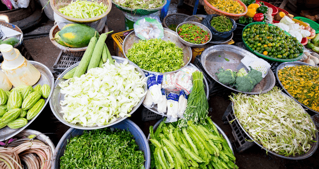 Cultural & Culinary Experiences